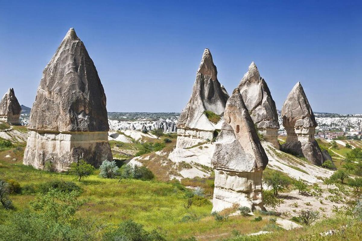 un gruppo di grandi rocce in un campo