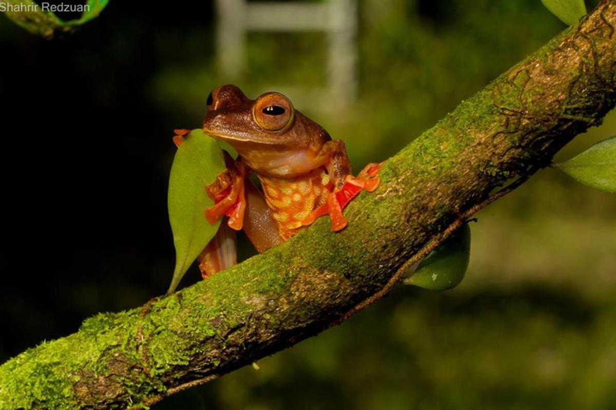 3 foto atraksi wisata