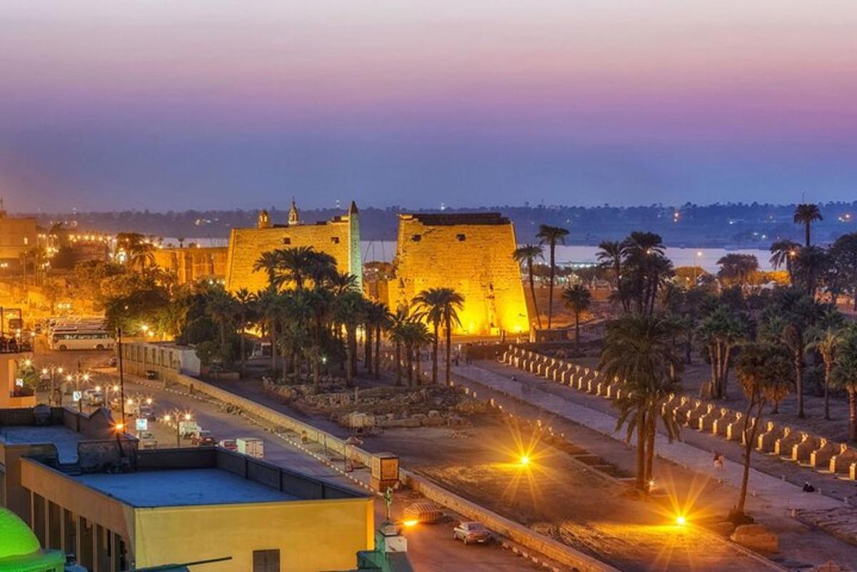 a city with buildings and palm trees at night