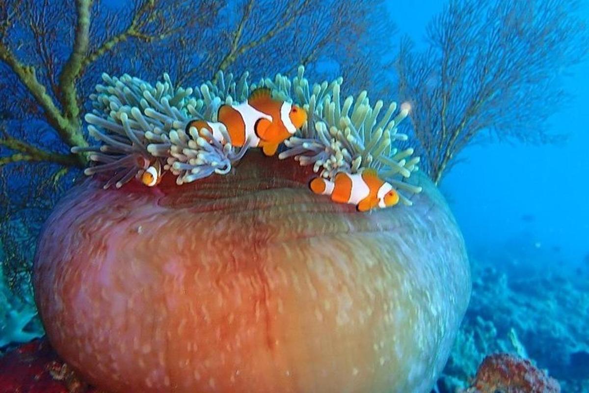 Fotografia da atração 4