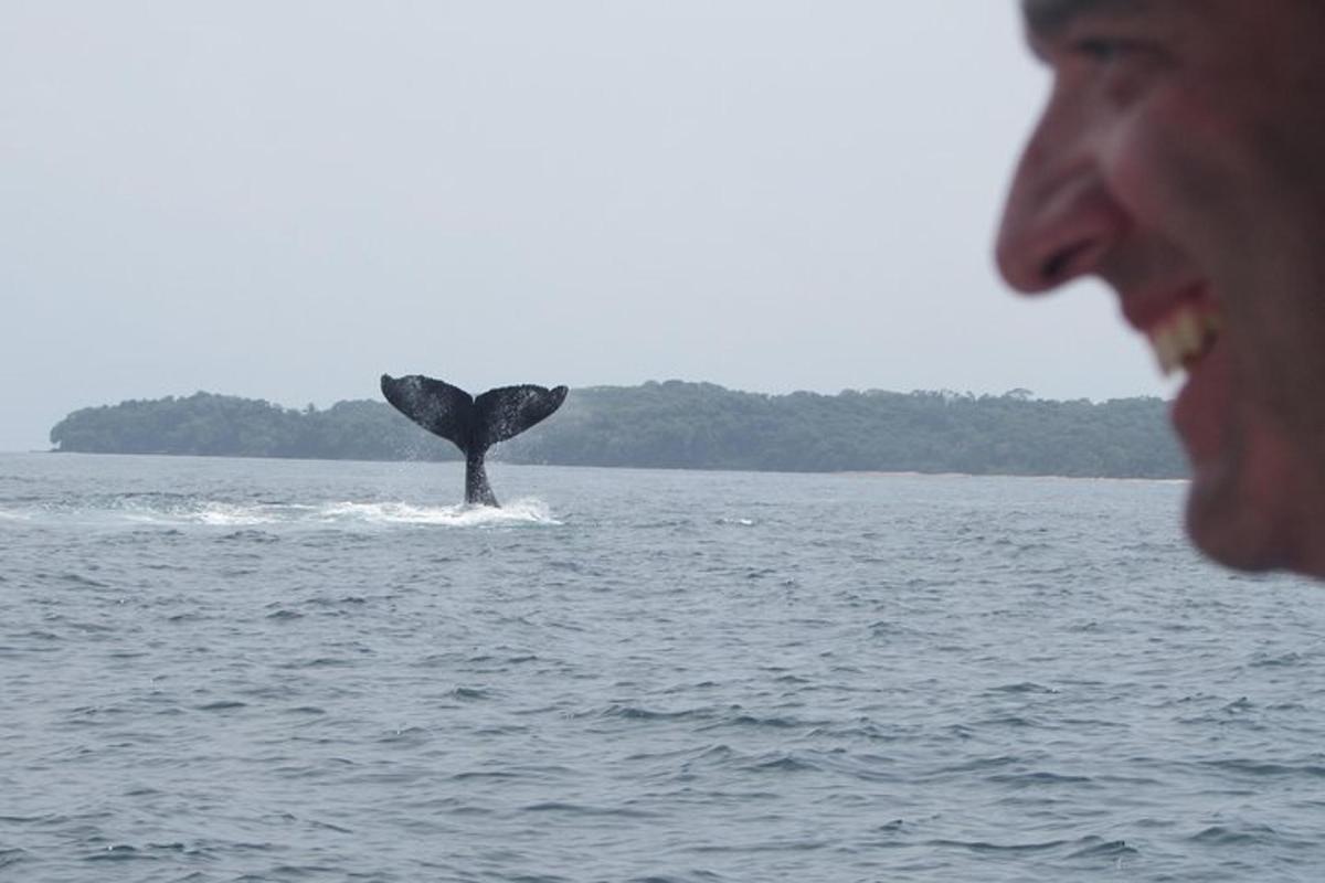 un home cridant a una balena a l'aigua