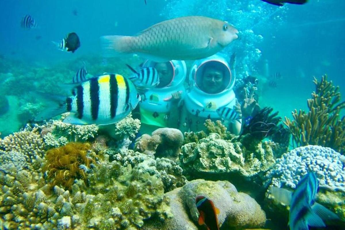 uma pessoa em um submarino no oceano com peixes