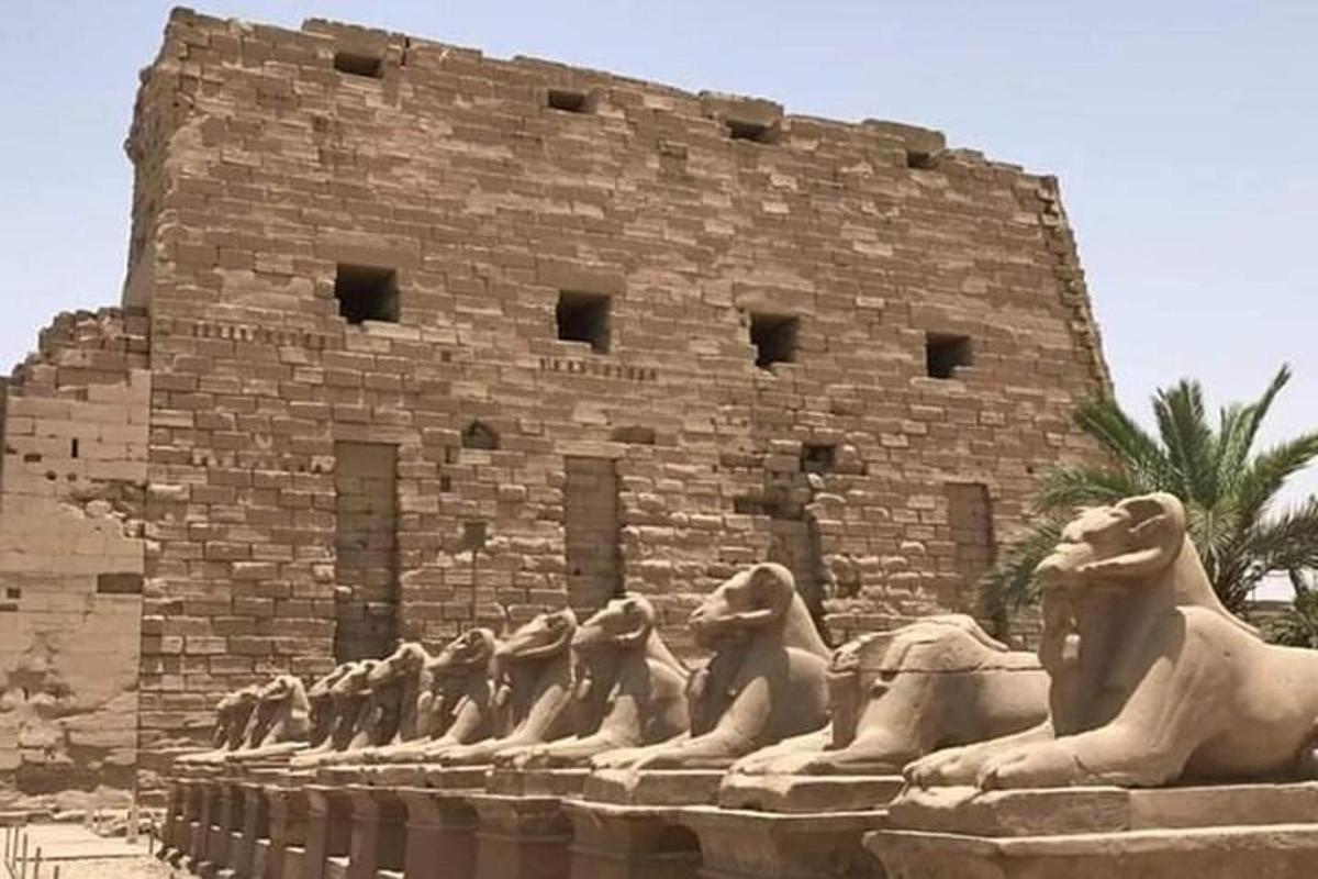 Un grupo de estatuas de leones frente a un edificio.