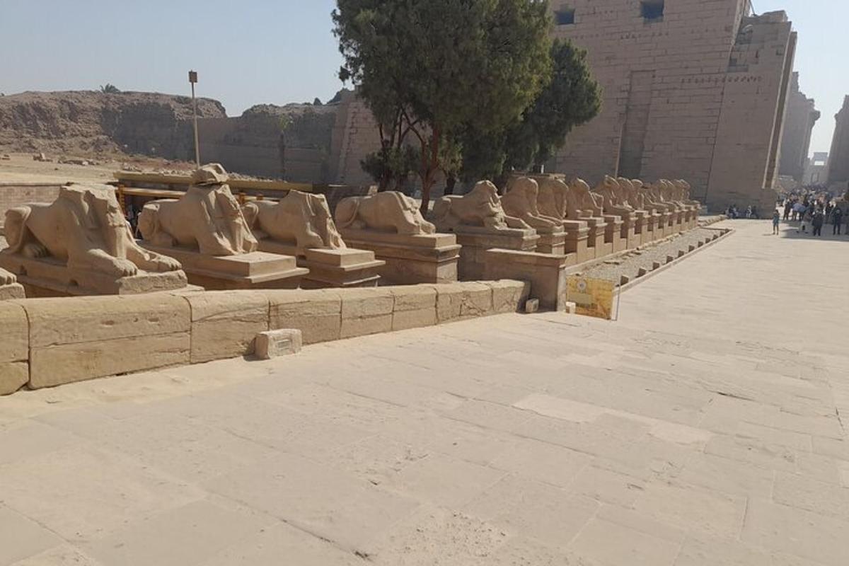 Un montón de estatuas sentadas en fila