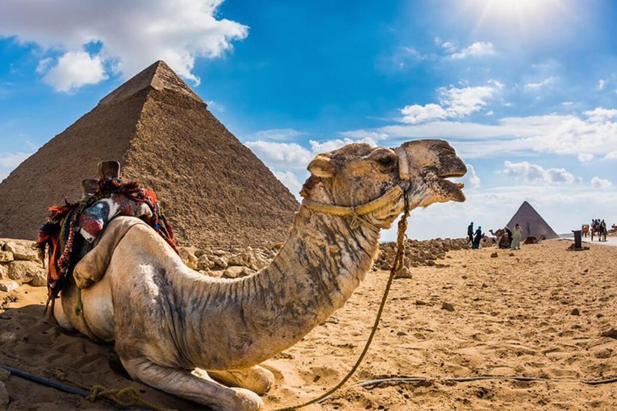 en kamel sidder foran pyramiderne