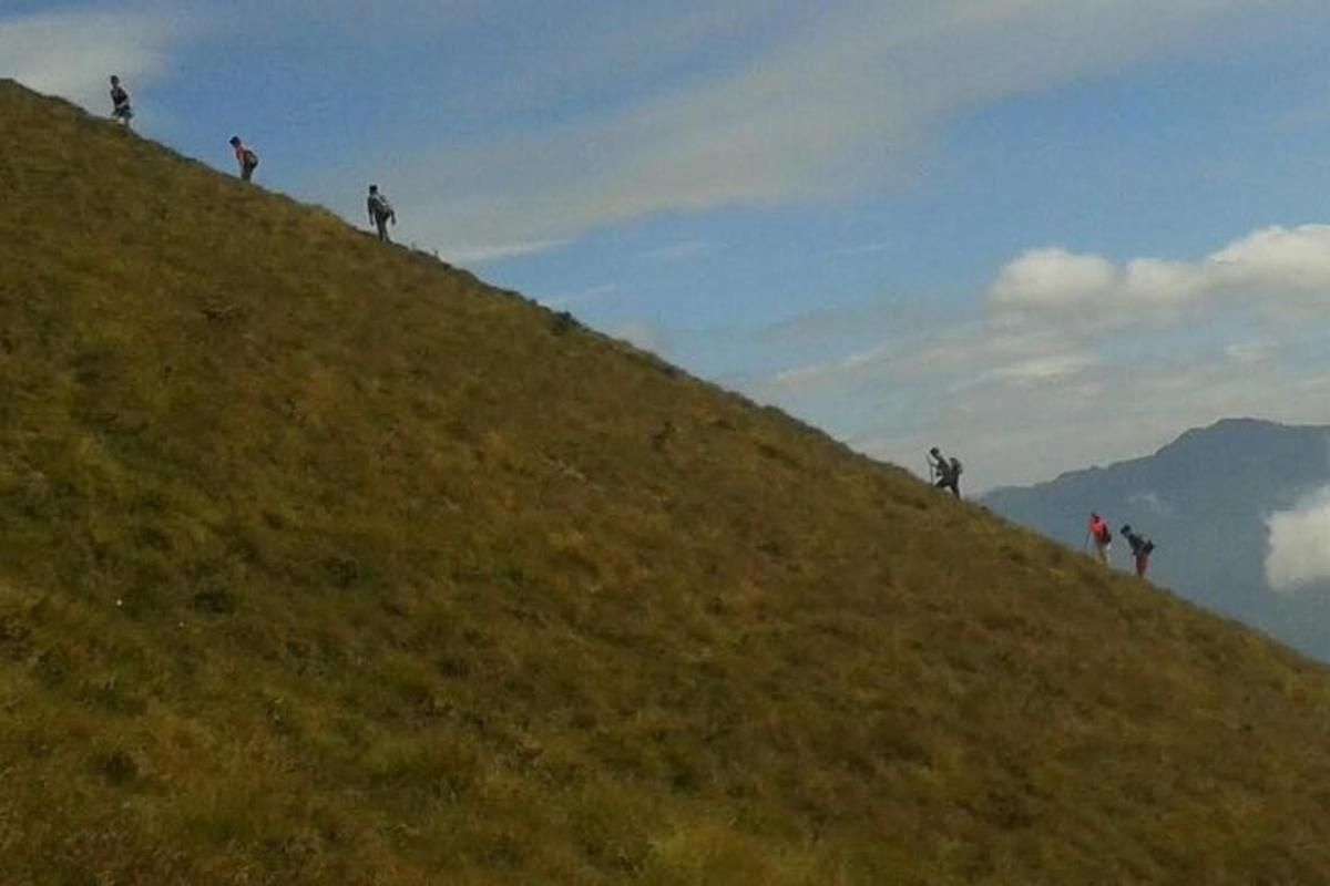 a group of people walking up a hill