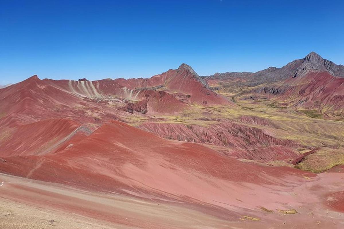 Una vista de un desierto con montañas al fondo.