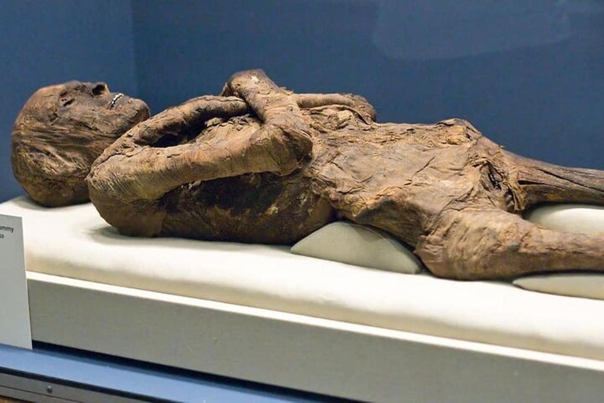 a statue of a dead animal laying on a bed