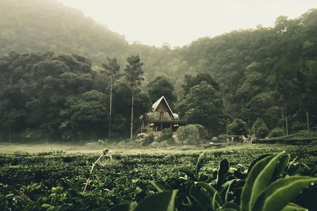 景點／活動相片 3