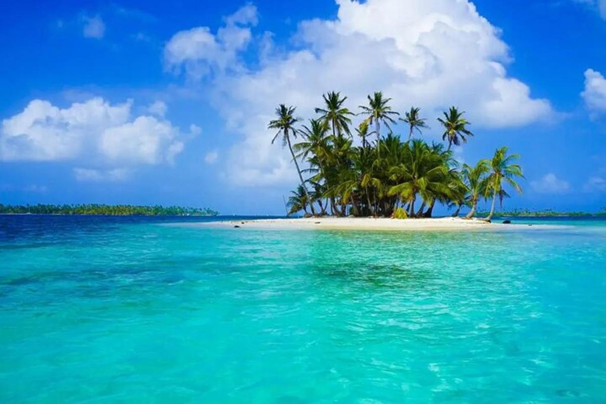 un'isola tropicale con palme su una spiaggia
