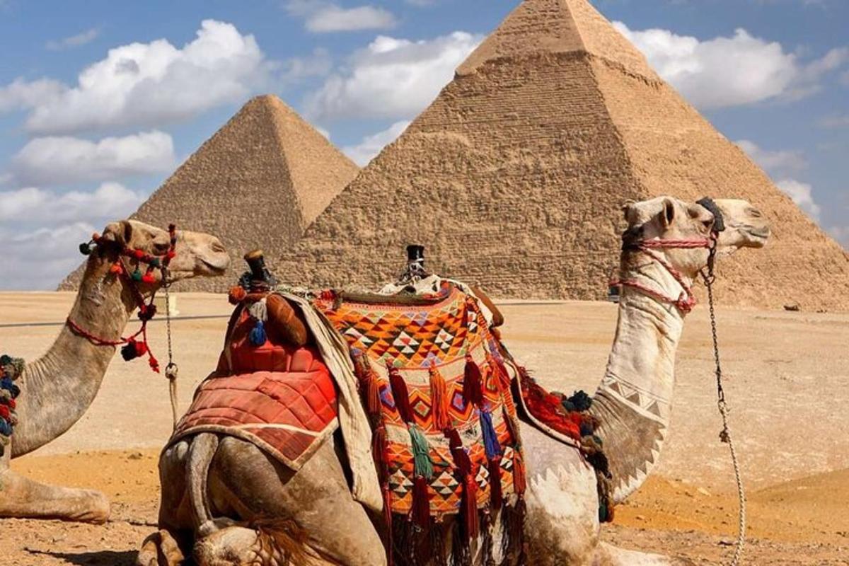 Dva velbloudi sedí před pyramidami