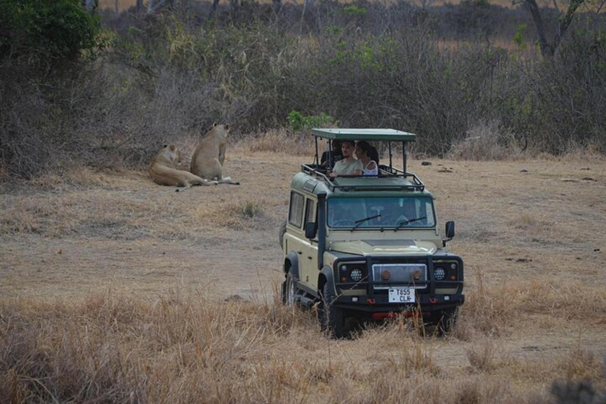 un vehicle de safari amb gent a dins en un camp