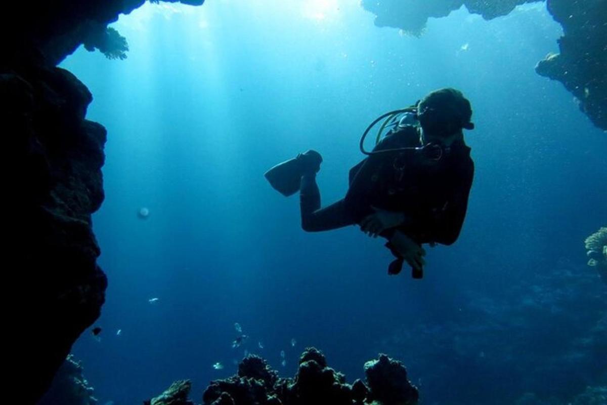 サンゴ礁の近くの水で人が泳いでいる