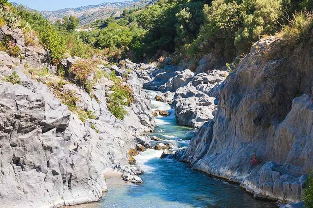 pemandangan sungai di ngarai berbatu
