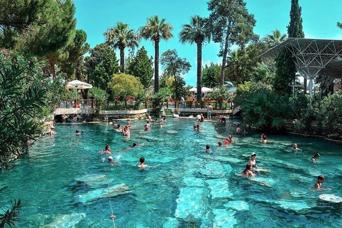 un gruppo di persone che nuotano in una piscina