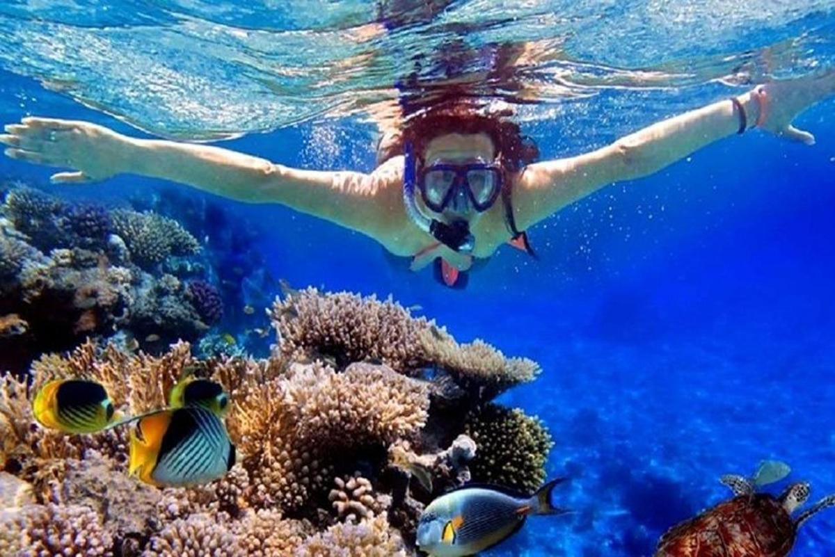 seorang wanita berenang di atas terumbu karang dengan ikan