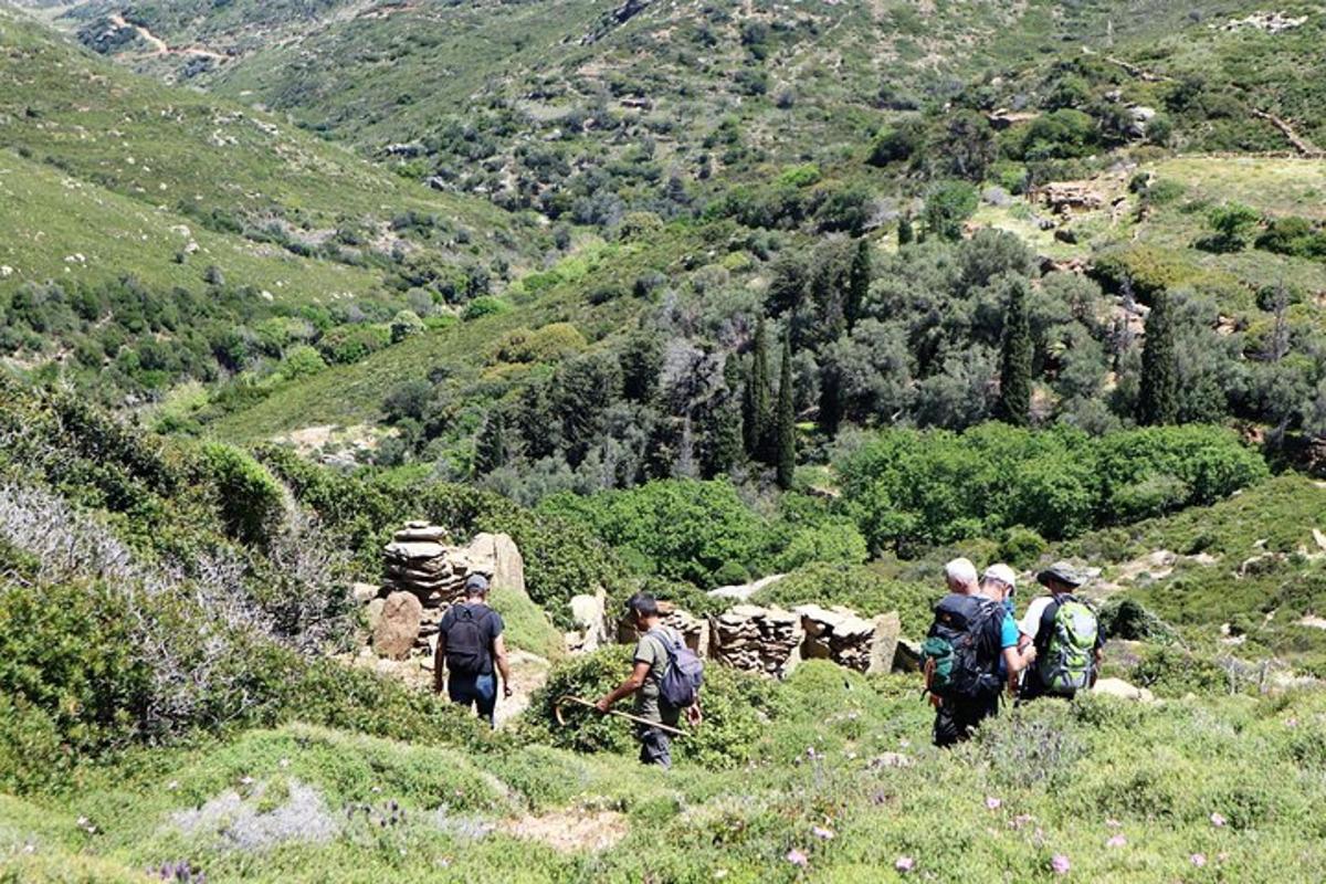 Φωτογραφία αξιοθέατου 5