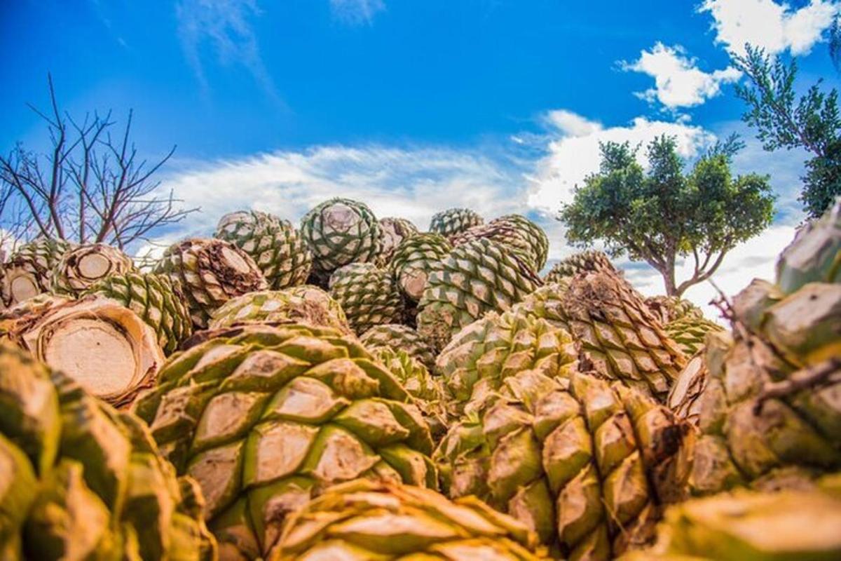 una pila de sandías apiladas una encima de otra