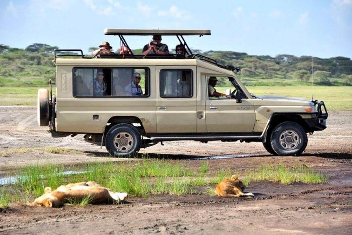 un gruppo di persone in un veicolo da safari con due leoni