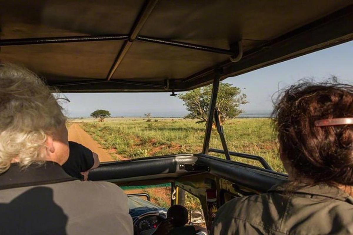 um grupo de pessoas viajando em um veículo em um safári