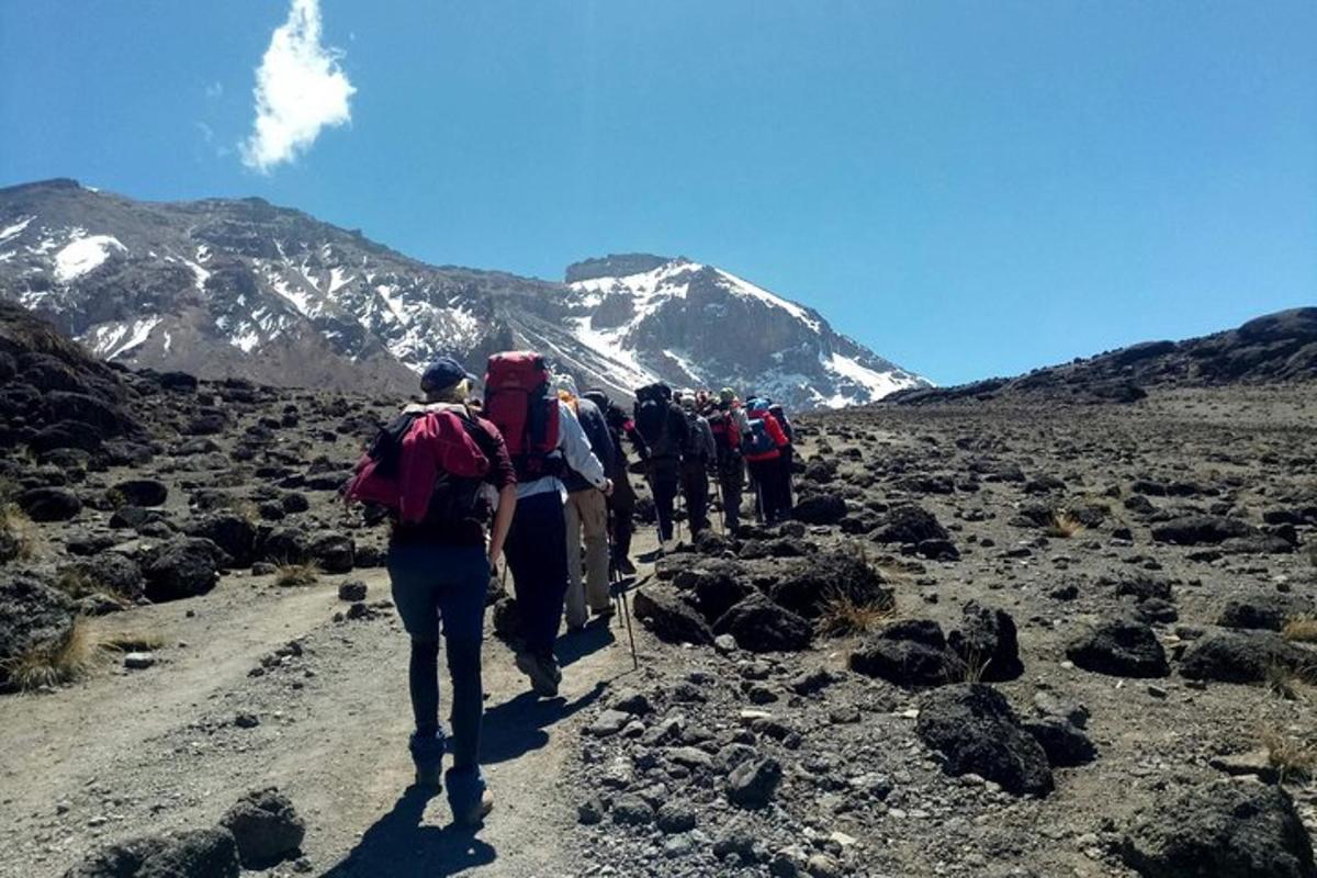 Lankytinos vietos ar pramogos nuotrauka numeris 7