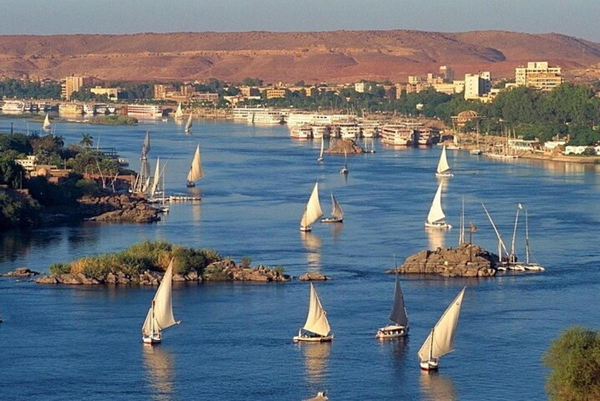 un gruppo di barche a vela su un fiume con una città
