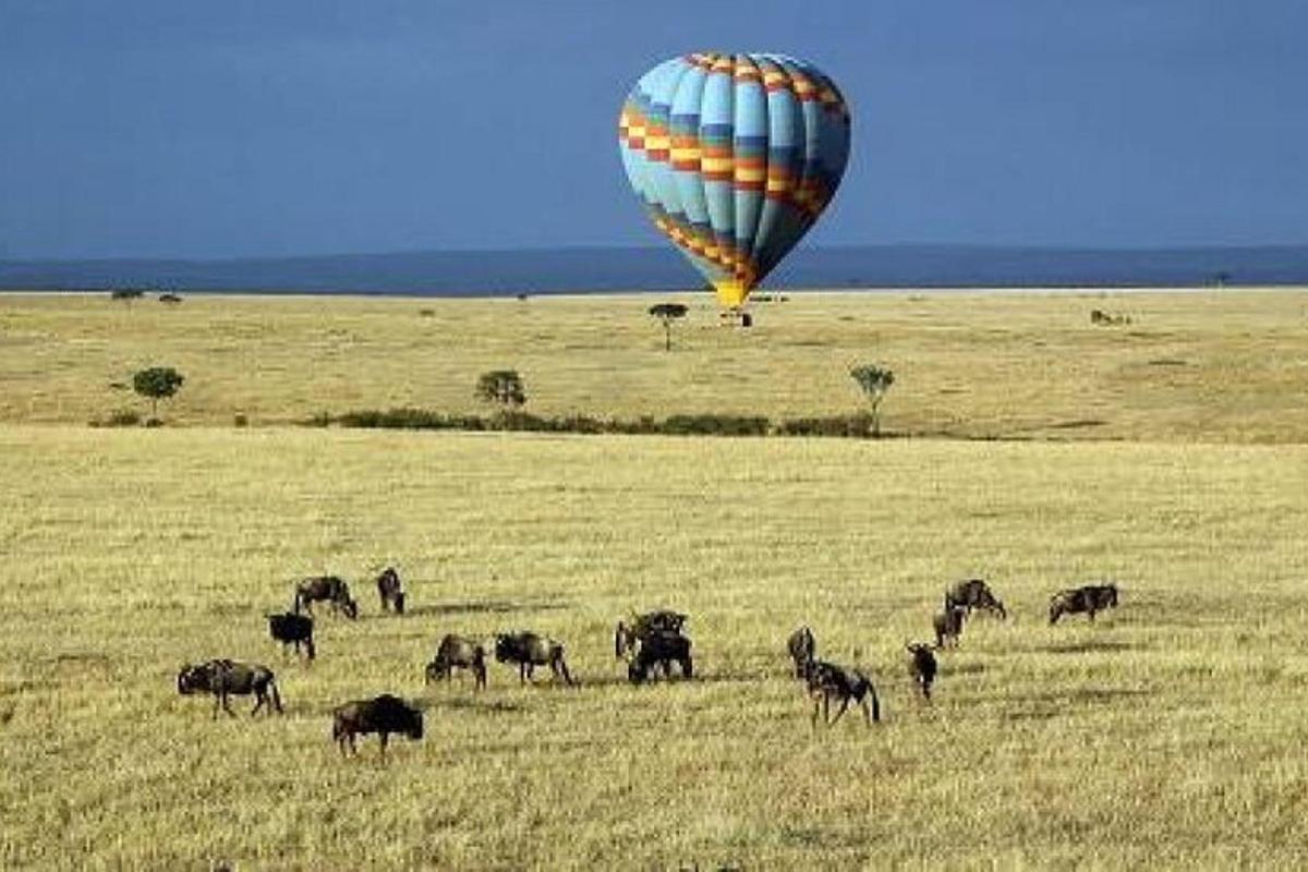 Un globo aerostático volando sobre una manada de animales en un campo.