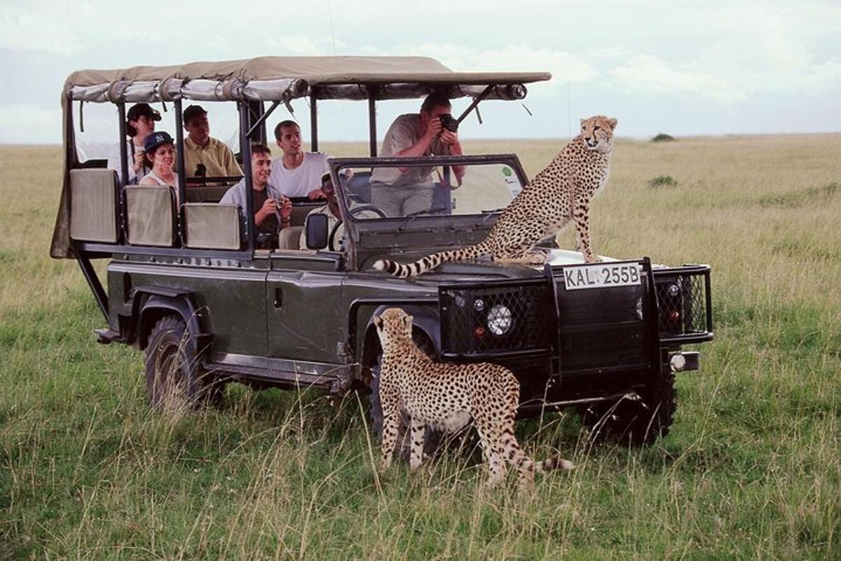 Skupina lidí v safari vozidle s gepardy