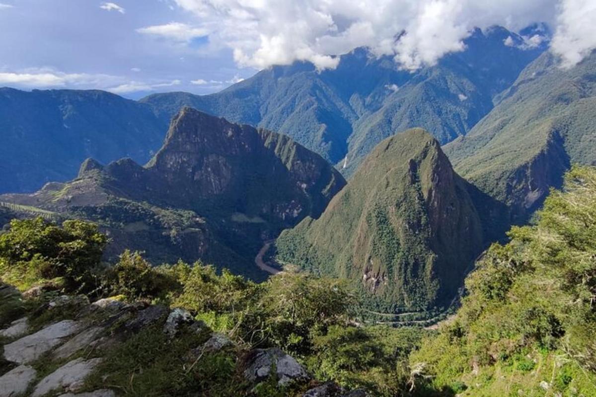 una vista di una catena montuosa con alberi