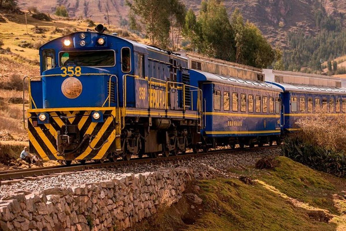 un treno blu e giallo che viaggia lungo i binari