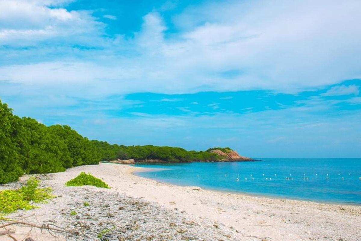 Una playa de arena con árboles y el océano.