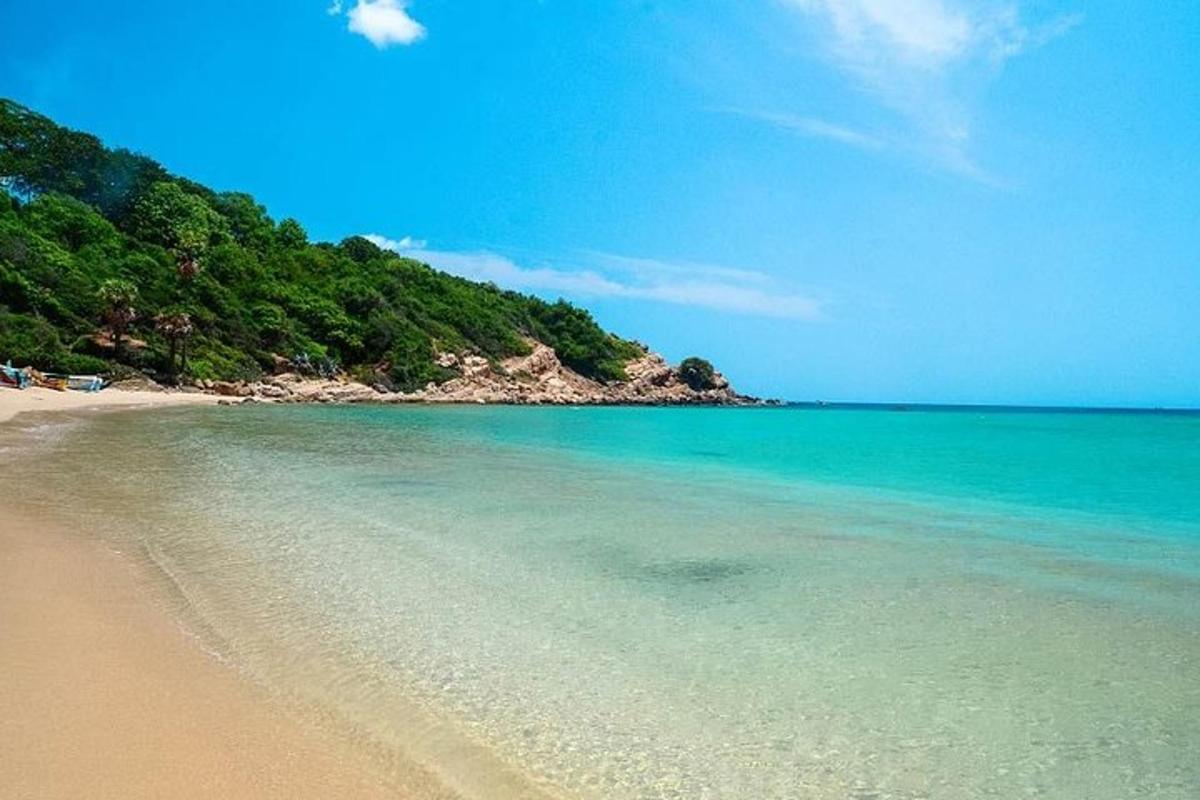 plaža z bistro modro vodo in drevesi na njej