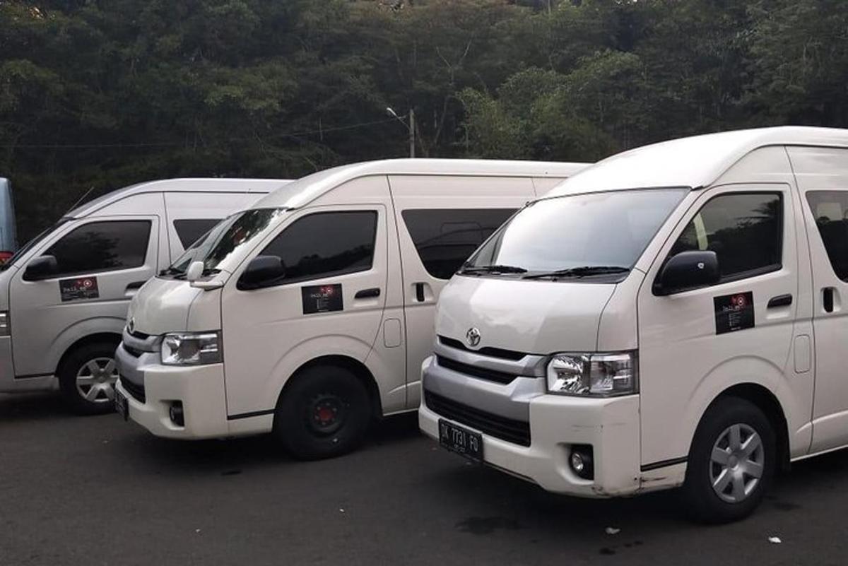 bir otoparkta park edilmiş bir sıra beyaz minibüs