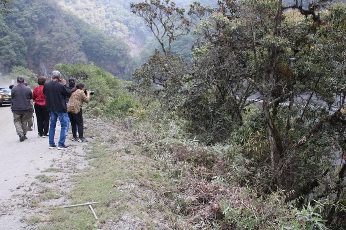 a group of people standing on the side of a road