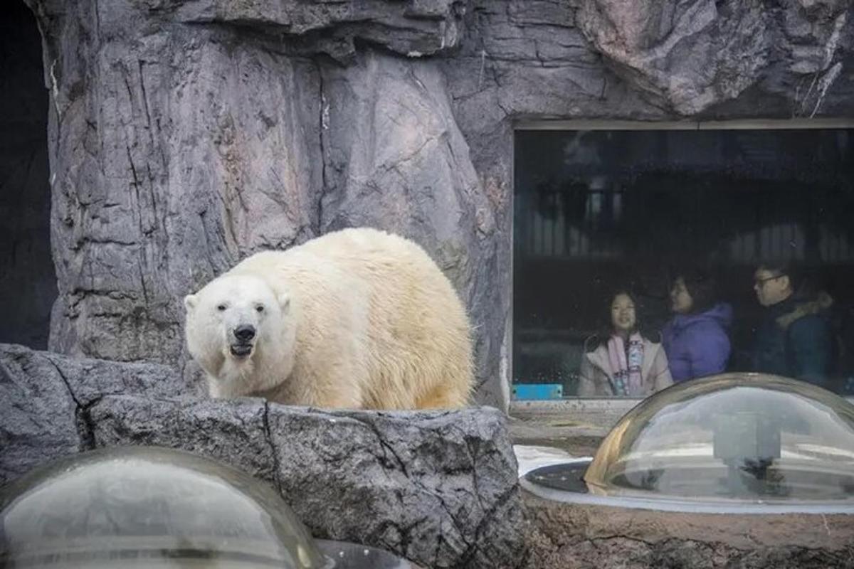 투어 액티비티 사진 1번