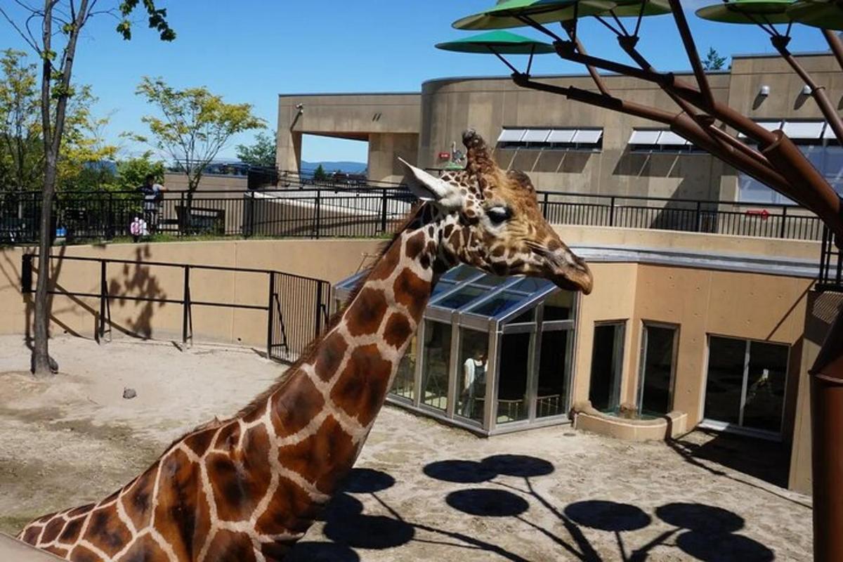 4枚目の観光スポット・アクティビティの写真