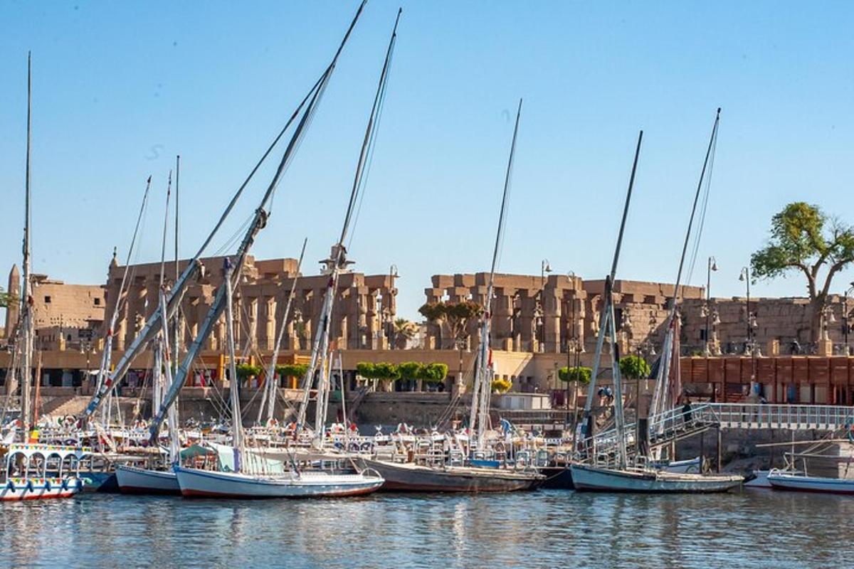 a group of sailboats docked in a marina