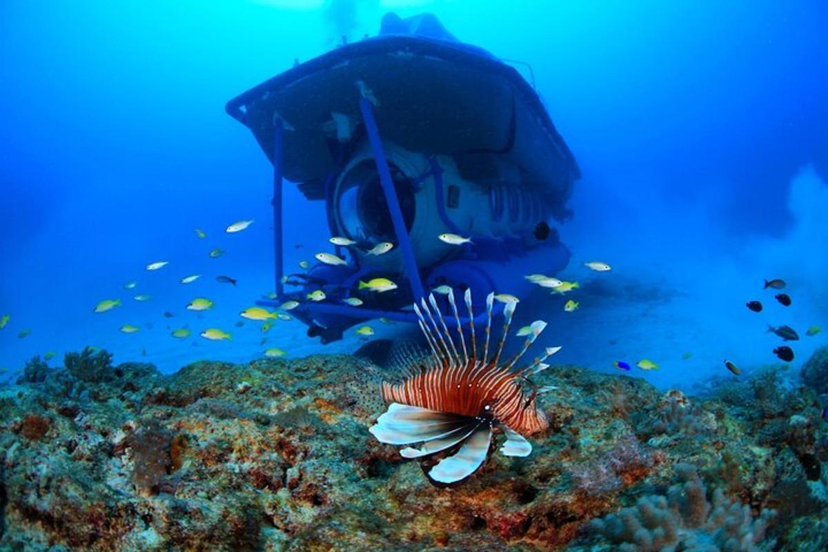 uma visão subaquática de um peixe-leão e uma caverna subaquática