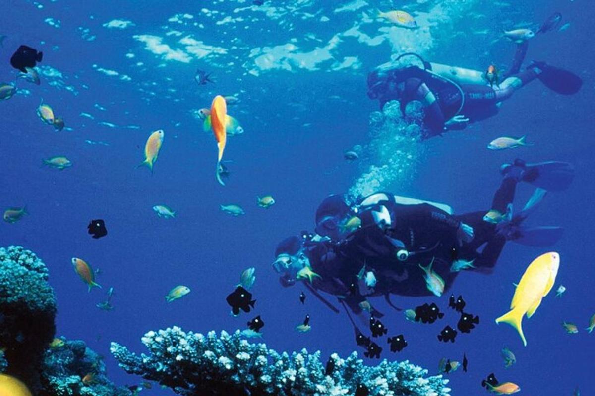 osoba plavající v oceánu s hejnem ryb