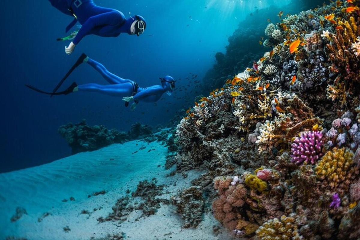 to personer svømmer i havet nær et koralrev