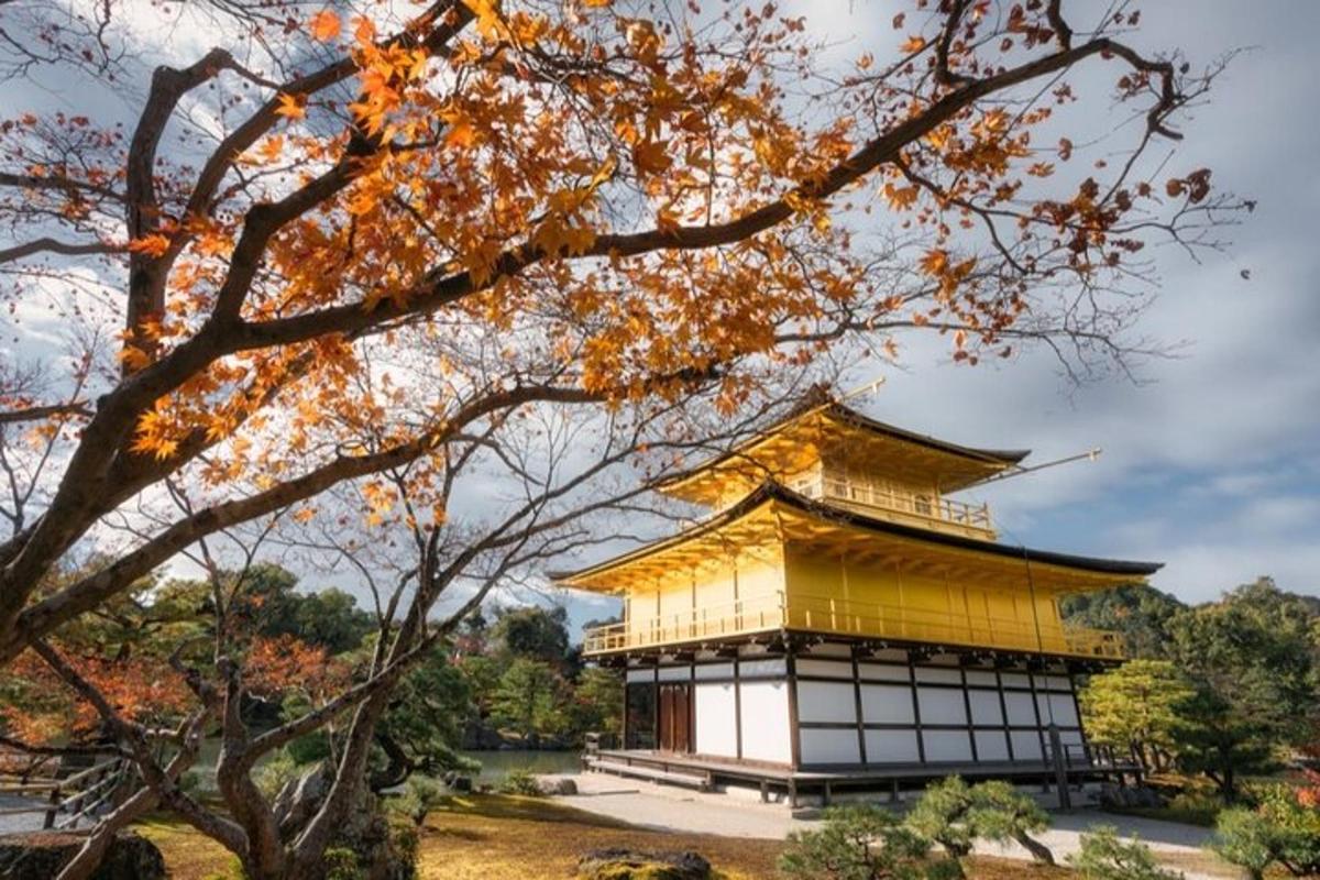a pagoda in a park with a tree