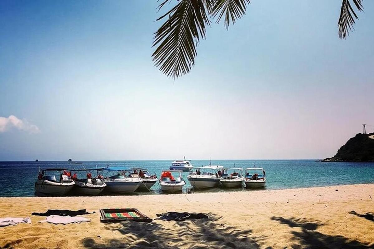 un grupo de barcos estacionados en la playa
