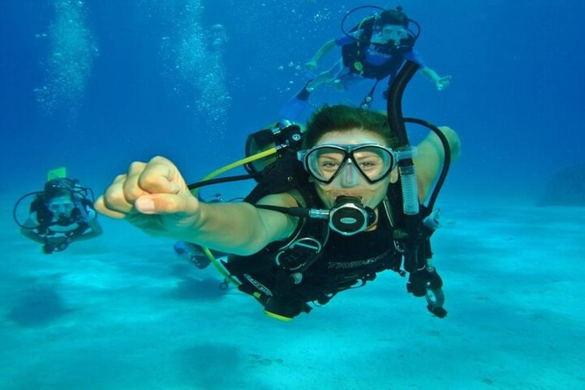 seseorang yang memakai pakaian selam dan berkaca mata berenang di dalam air