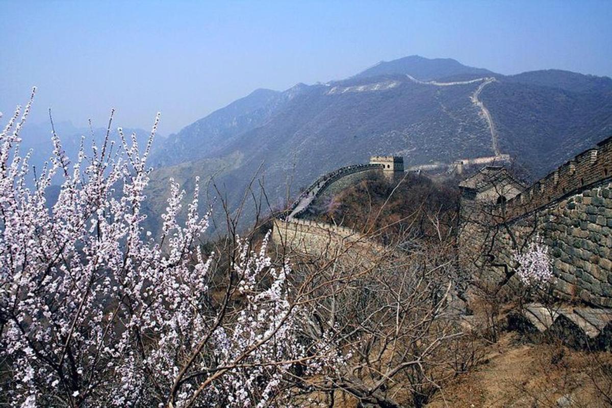a view of the great wall of china with a tree