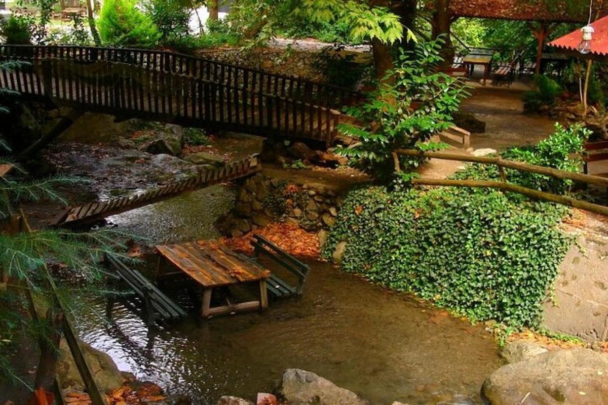 un giardino con una panchina di legno e uno stagno