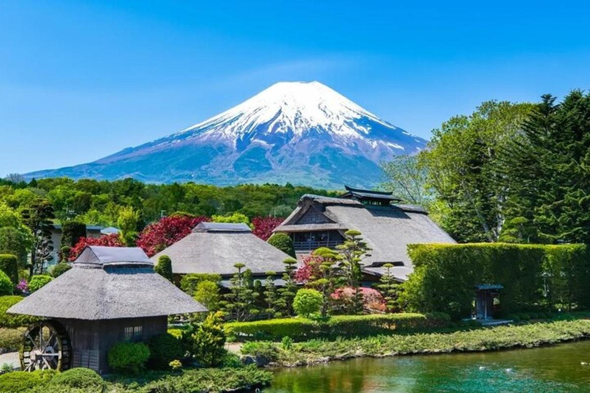 a mountain in the background of a garden with a house