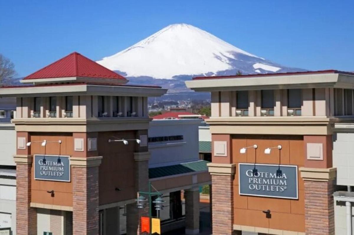 a view of a snow covered mountain behind buildings