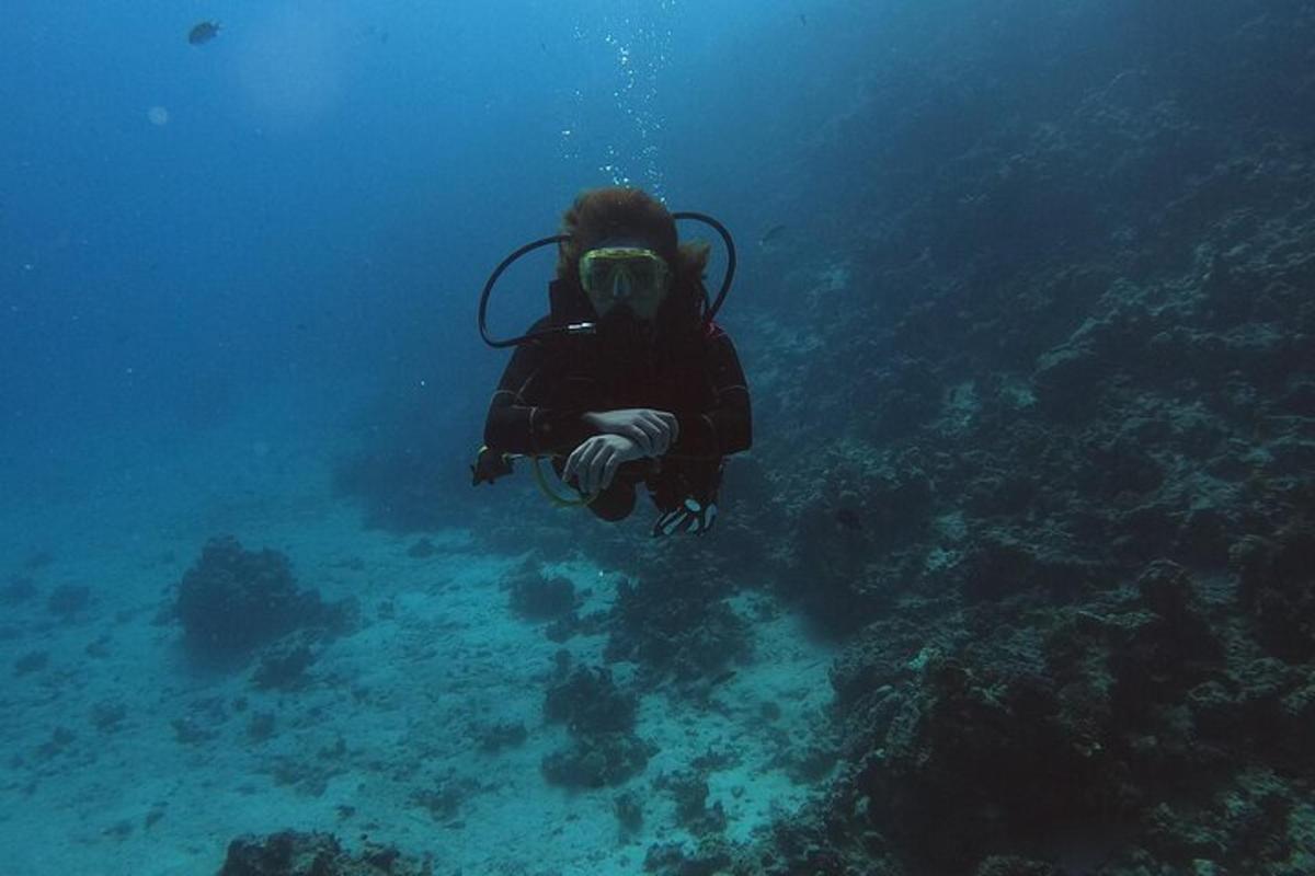 uma pessoa em um traje de mergulho está nadando no oceano