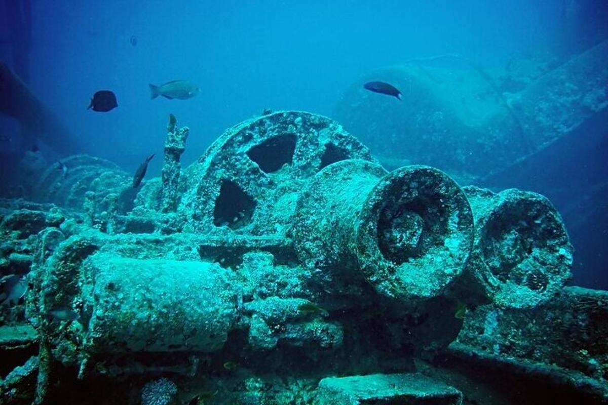 o imagine subacvatică a unei epave cu pești în ocean