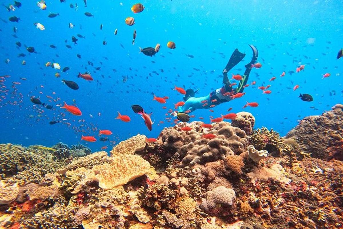 Lankytinos vietos ar pramogos nuotrauka numeris 6